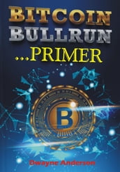 Bitcoin Bullrun Primer