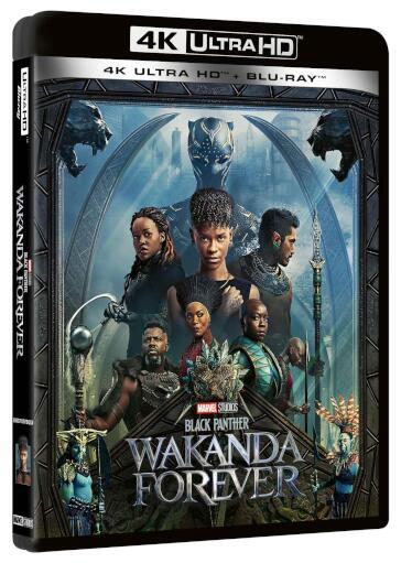 Black Panther - Wakanda Forever (4K+Br) + Poster