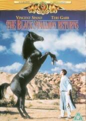 Black Stallion Returns / Ritorno Di Black Stallion (Il) [Edizione: Regno Unito] [ITA]