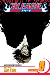 Bleach, Vol. 8