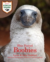 Blue Footed Boobies