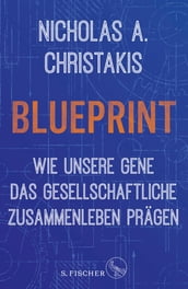 Blueprint Wie unsere Gene das gesellschaftliche Zusammenleben prägen