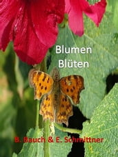 Blumen Blüten