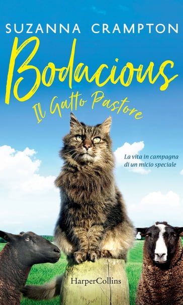 Bodacious - Il gatto pastore - Suzanna Crampton