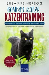 Bombay Katze Katzentraining - Ratgeber zum Trainieren einer Katze der Bombay Rasse