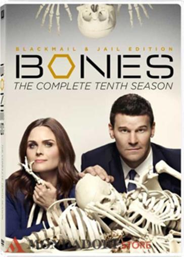 Bones - Stagione 10 (6 Dvd)