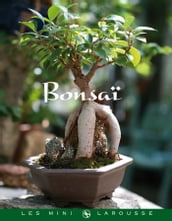 Bonsaï