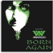 Born again - transparent green