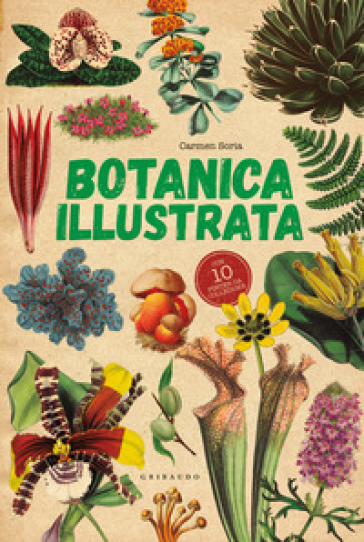 Botanica illustrata. Con 10 poster - Carmen Soria