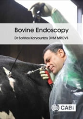 Bovine Endoscopy
