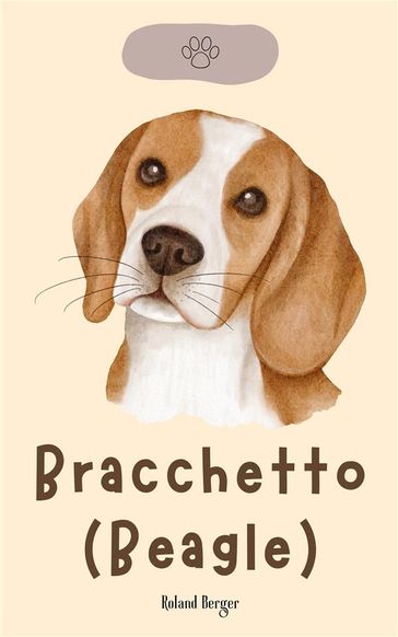 Bracchetto (Beagle) - Roland Berger