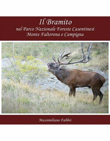 Il Bramito nel Parco Nazionale Foreste Casentinesi Monte Falterona e Campigna - Massimiliano Fabbri