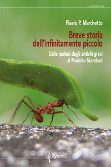 Breve storia dell'infinitamente piccolo. Vol. 1: Dalle ipotesi degli antichi greci al modello standard - Flavio P. Marchetto