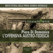 Breve storia della Prima Guerra Mondiale vol. 9 - L