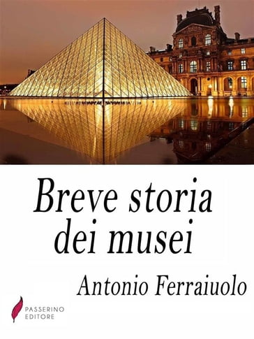 Breve storia dei musei - Antonio Ferraiuolo