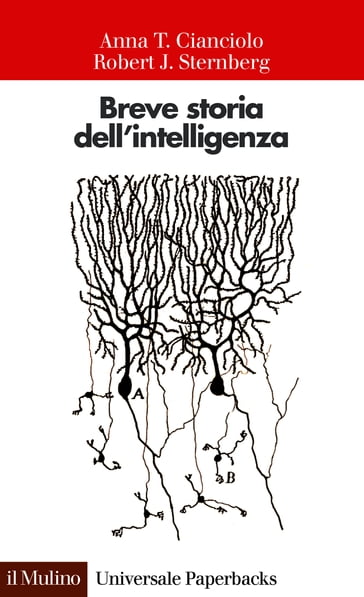 Breve storia dell'intelligenza - Cianciolo Anna T. - Robert J. Sternberg