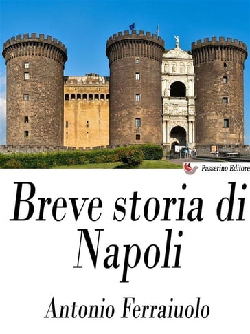 Breve storia di Napoli - Antonio Ferraiuolo