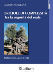 Briciole di complessità. Tra la rugosità del reale