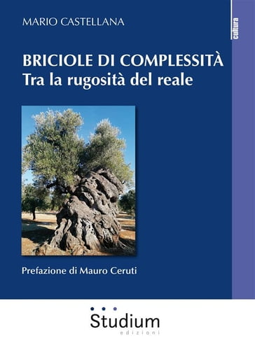 Briciole di complessità - Mario Castellana - Mauro Ceruti