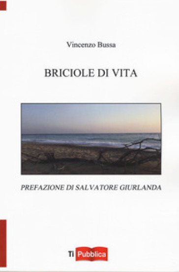 Briciole di vita - Vincenzo Bussa