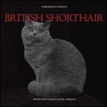 British shorthair - Mariaelena Turisani