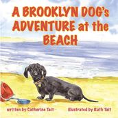 A Brooklyn Dog s Adventure at the Beach