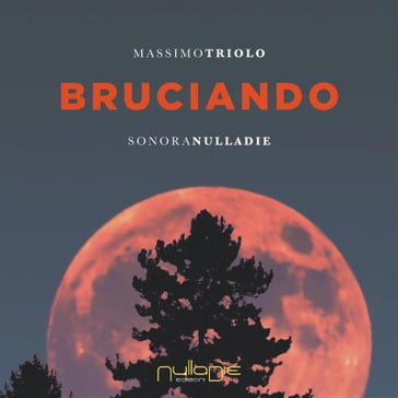 Bruciando - Massimo Triolo