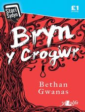 Bryn Y Crogwr