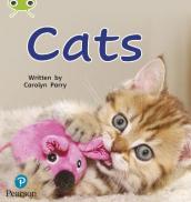 Bug Club Phonics - Phase 2 Unit 3: Cats