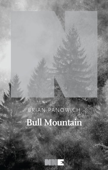 Bull Mountain - Brian Panowich