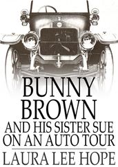 Bunny Brown and His Sister Sue on an Auto Tour