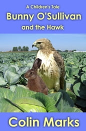 Bunny O Sullivan and the Hawk
