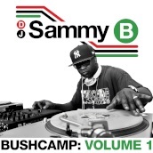 Bushcamp: volume 1