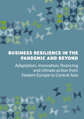 Business Resilience in the Pandemic and Beyond