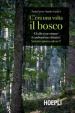 C era una volta il bosco. Gli alberi raccontano il cambiamento climatico: sarà una pianta a salvarci?