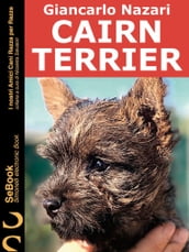 CAIRN TERRIER