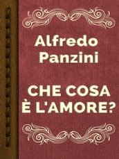 CHE COSA È L AMORE?