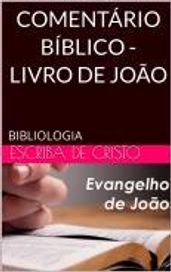 COMENTÁRIO BÍBLICO - LIVRO DE JOÃO