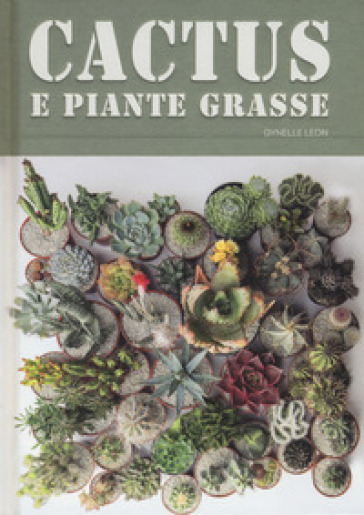 Cactus e piante grasse - Gynelle Leon