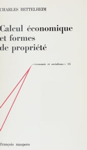 Calcul économique et formes de propriété