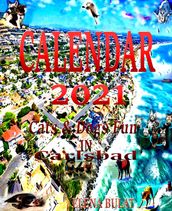 Calendar 2021. Book. Cats & Dogs. Fun in Carlsbad