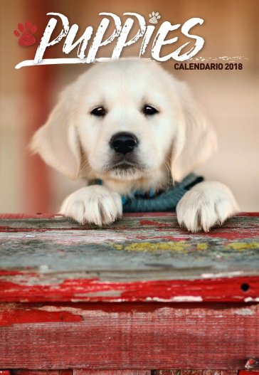 Calendario 2018 Puppies