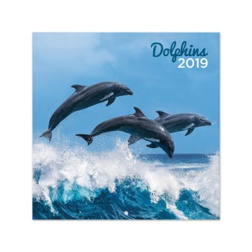 Calendario 2019 30X30 Dolphins