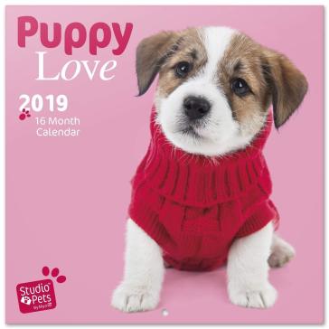 Calendario 2019 30X30 Studio Pets Puppies