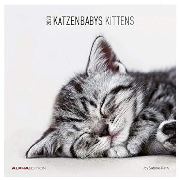 Calendario da muro 2020 - Kittens