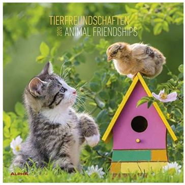 Calendario da parete 2020 - Animal Friendship