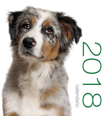 Calendario da tavolo 2018. Cani