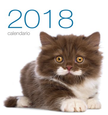 Calendario da tavolo 2018. Gatti