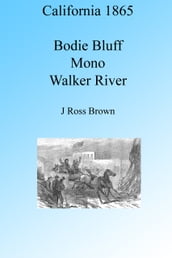 California 1865: Bodie Bluff, Mono  Dead Sea of the West, Walker River