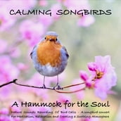 Calming Songbirds: Nature Sounds Recording Of Bird Calls - A songbird concert for Meditation, Relaxation and Creating a Soothing Atmosphere